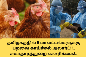 Bird flu Alert for 5 Districts in Tamil Nadu Health Department Alert